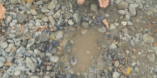 Sarah Chalke feet photo thumbnail