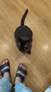 Sarah Close feet photo 19