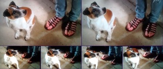 Sarah Desjardins feet photo thumbnail
