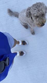 Sarah Ellen feet photo 6