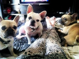 Sarah Harding feet photo thumbnail