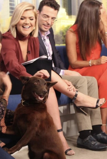 Sarah Harris feet photo 17