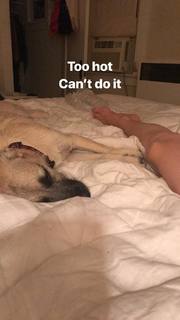 Sarah Hay feet photo 20