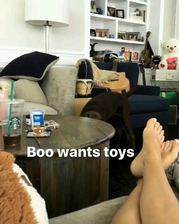 Sarah Hyland feet photo thumbnail