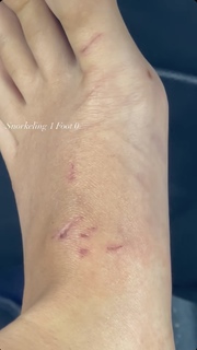 Sarah-Jade Bleau feet photo 15