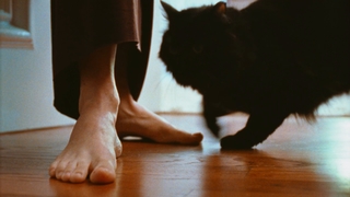 Sarah Lind feet photo 1
