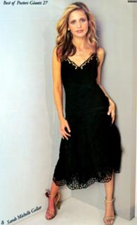 Sarah Michelle Gellar feet photo thumbnail