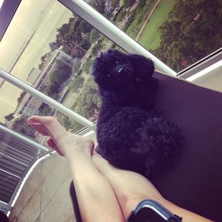 Sarah Mintz feet photo 8