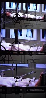 Sarah Polley feet photo thumbnail