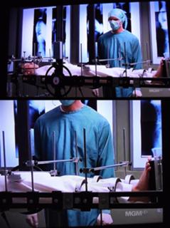 Sarah Polley feet photo thumbnail