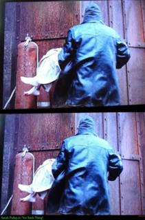 Sarah Polley feet photo thumbnail