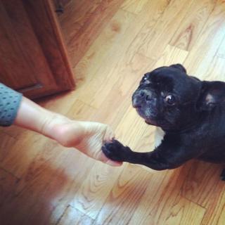 Sarah Roemer feet photo thumbnail