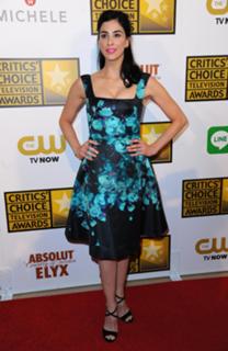 Sarah Silverman feet photo thumbnail