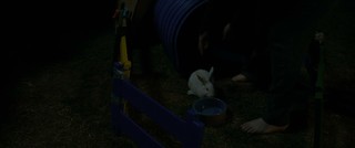 Sarah Snook feet photo thumbnail