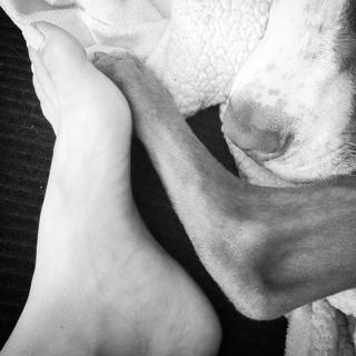 Sarah Tiana feet photo 4