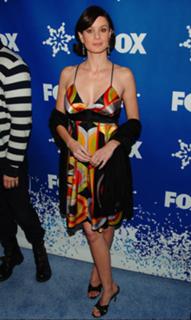 Sarah Wayne Callies feet photo thumbnail