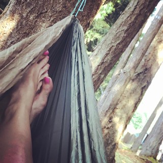 Sarah Wayne Callies feet photo thumbnail