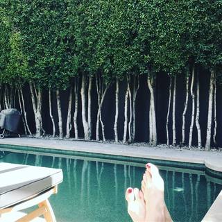 Sarah Wayne Callies feet photo thumbnail