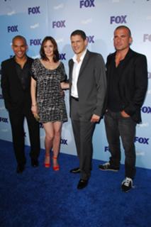 Sarah Wayne Callies feet photo thumbnail