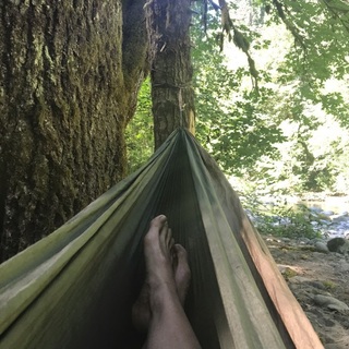 Sarah Wayne Callies feet photo thumbnail