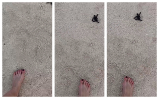 Sarah Wayne Callies feet photo thumbnail