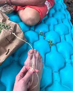 Sarah Wayne Callies feet photo thumbnail