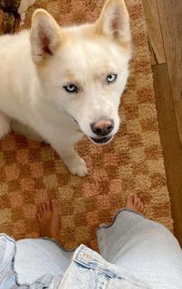 Sarah Wright feet photo thumbnail