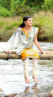 Saranya Mohan feet photo 1
