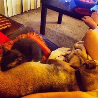 Saraya-Jade Bevis feet photo thumbnail