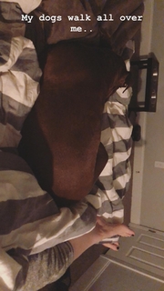 Saraya-Jade Bevis feet photo thumbnail