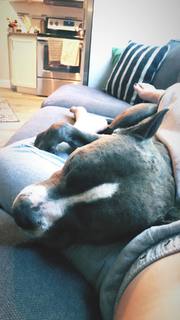 Saraya-Jade Bevis feet photo thumbnail