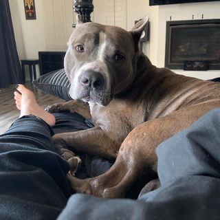 Saraya-Jade Bevis feet photo thumbnail