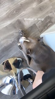 Saraya-Jade Bevis feet photo thumbnail