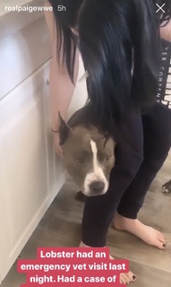 Saraya-Jade Bevis feet photo thumbnail