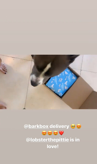 Saraya-Jade Bevis feet photo thumbnail