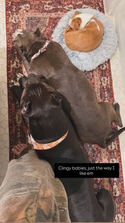 Saraya-Jade Bevis feet photo thumbnail