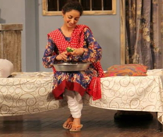 Sarwat Gilani feet photo 18