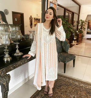 Sarwat Gilani feet photo 12