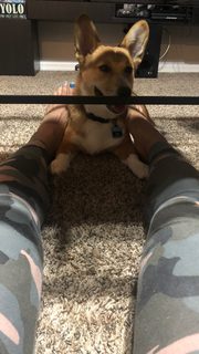 Sasha Banks feet photo thumbnail