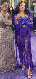 Sasha Banks feet photo thumbnail