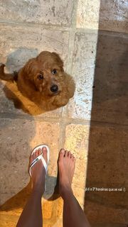 Sasha Meneghel feet photo 1