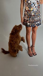 Sasha Meneghel feet photo 8