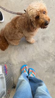 Sasha Meneghel feet photo 7