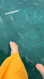 Sati Kazanova feet photo thumbnail