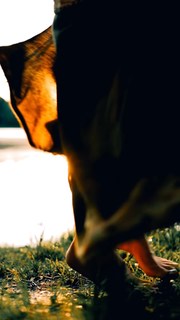 Sati Kazanova feet photo thumbnail