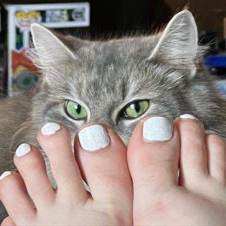 Sativa Skies feet photo 19