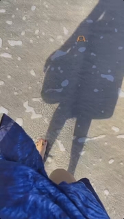 Satou Sabally feet photo 8