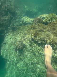 Satou Sabally feet photo 9