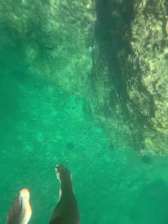 Satou Sabally feet photo 8