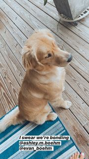 Savannah Chrisley feet photo thumbnail